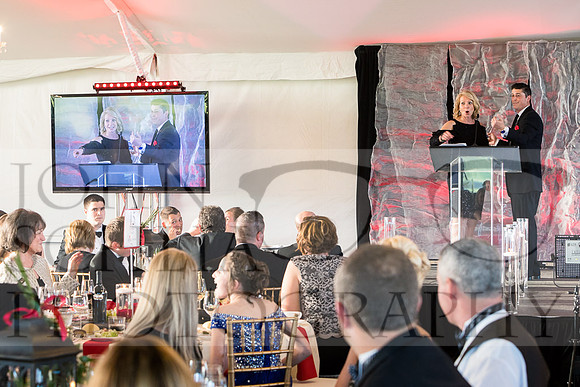 2018-rochester-heart-ball-92-web