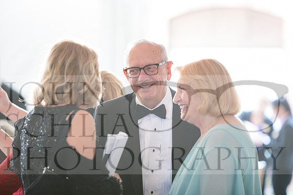 2018-rochester-heart-ball-81-web