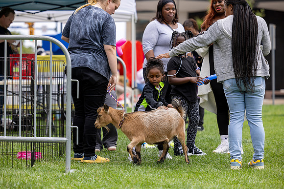 fall-fest-2024_612
