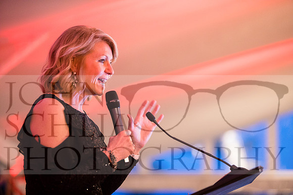 2018-rochester-heart-ball-121-web