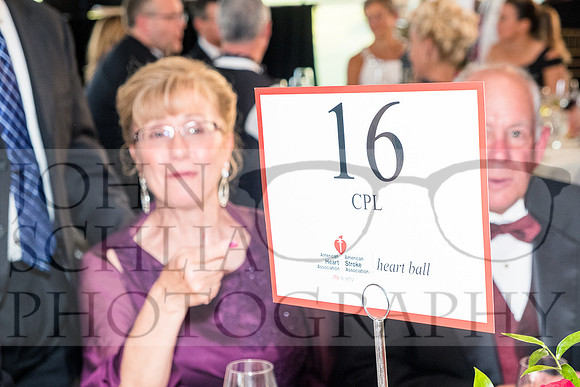 2018-rochester-heart-ball-54-web