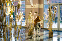 2019-gch-gala_058