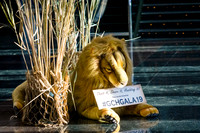 2019-gch-gala_054