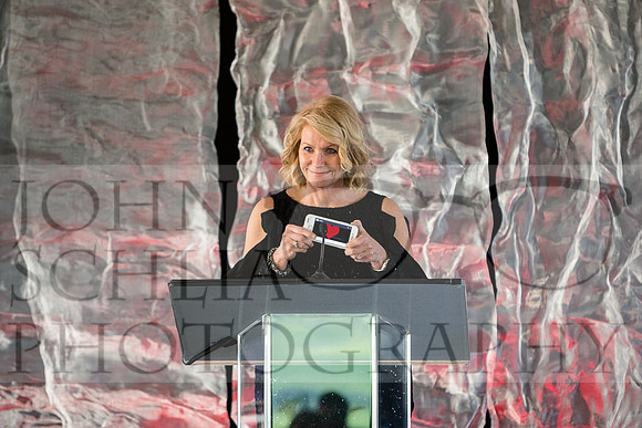 2018-rochester-heart-ball-84-web