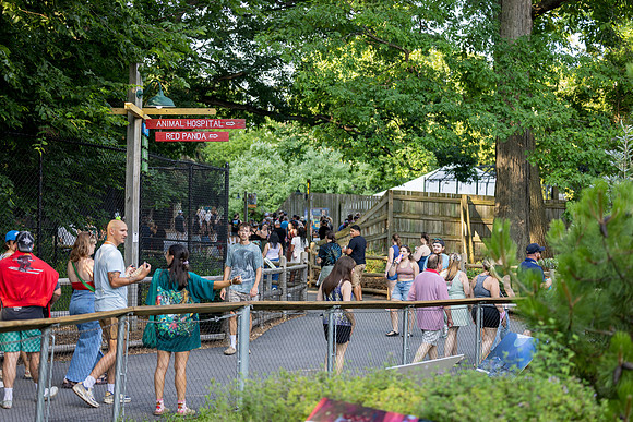 250711-zoobrew_719