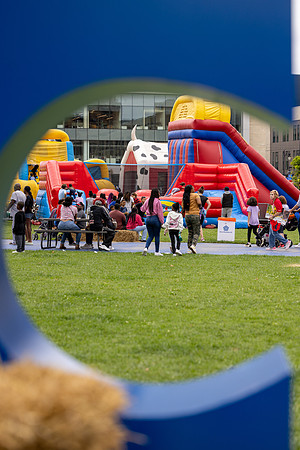 fall-fest-2024_616