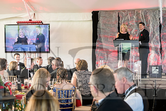 2018-rochester-heart-ball-91-web