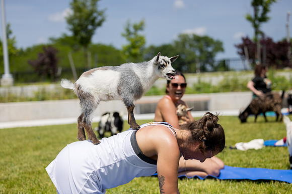 250624-yoga_394