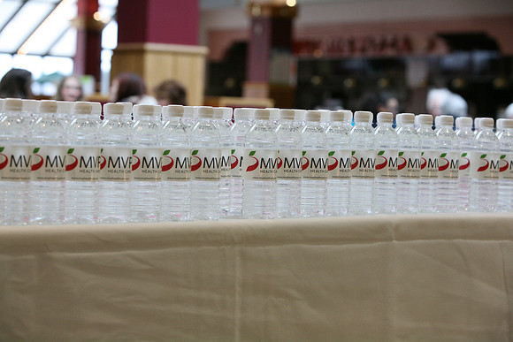 walk_for_wellness_2012 _048