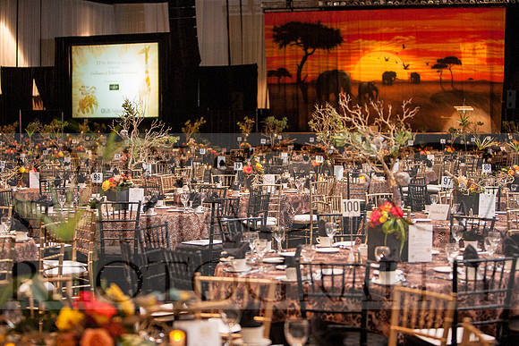 141018-childrens-gala-002