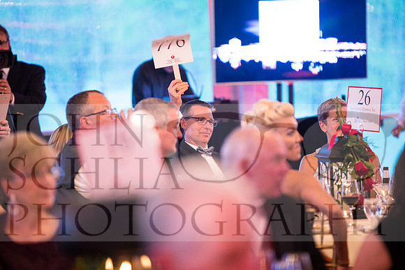 2018-rochester-heart-ball-111-web